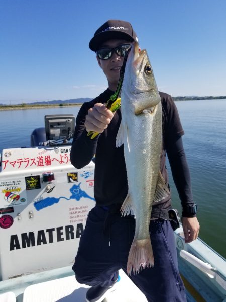 アマテラス 釣果