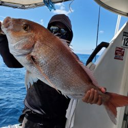 ソルトウォーターガイドフレンズ 釣果