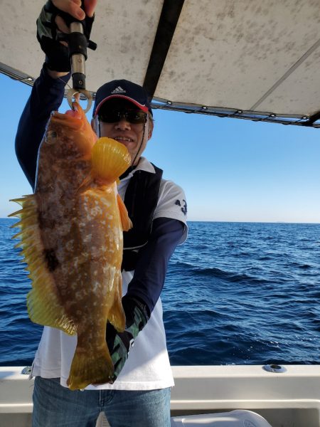 ソルトウォーターガイドフレンズ 釣果