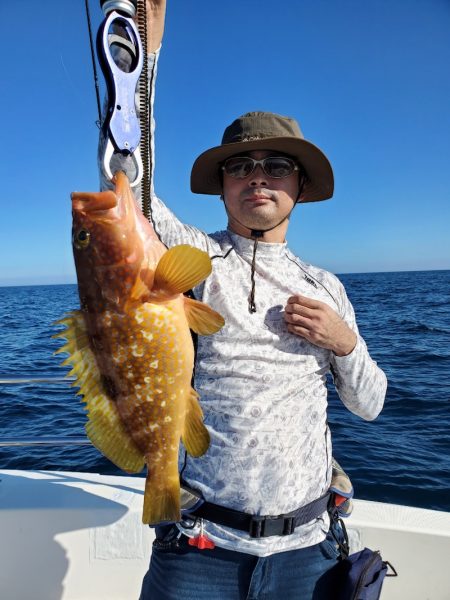 ソルトウォーターガイドフレンズ 釣果