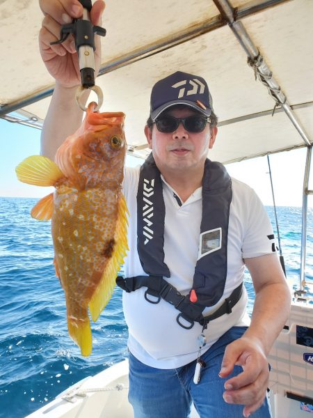 ソルトウォーターガイドフレンズ 釣果