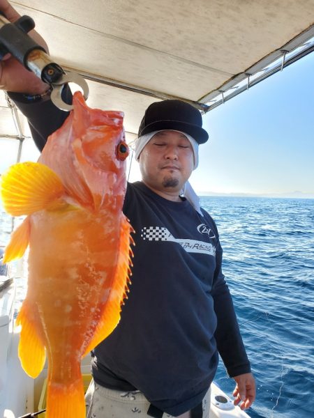 ソルトウォーターガイドフレンズ 釣果