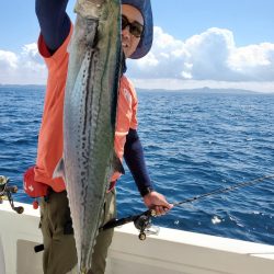 ソルトウォーターガイドフレンズ 釣果