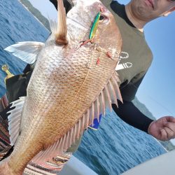 サンマリン 釣果