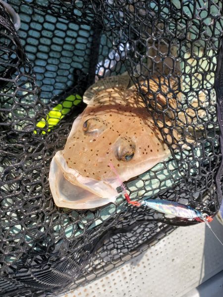 サンマリン 釣果