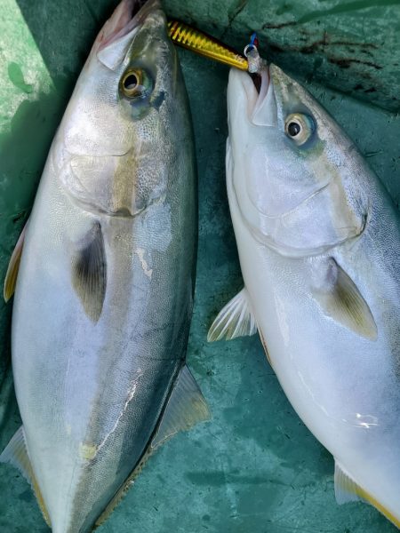 サンマリン 釣果