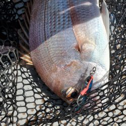 サンマリン 釣果