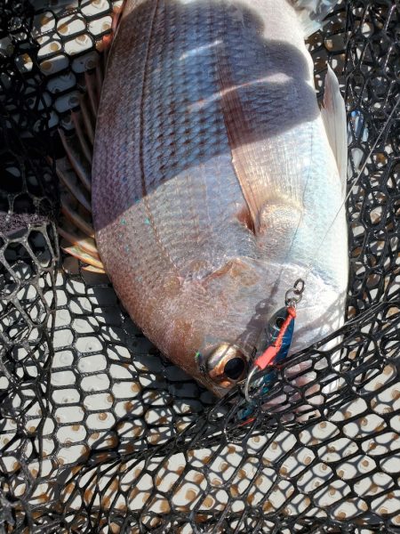 サンマリン 釣果