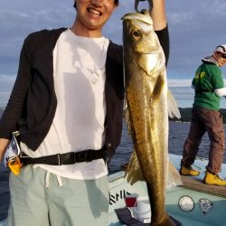 アマテラス 釣果