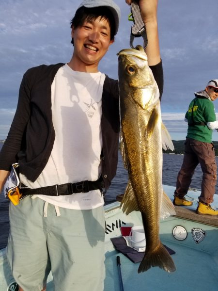 アマテラス 釣果