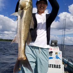 アマテラス 釣果