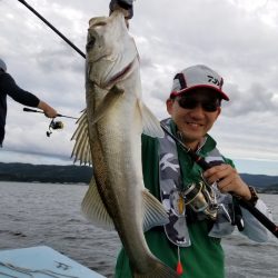 アマテラス 釣果