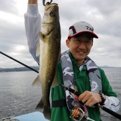 アマテラス 釣果