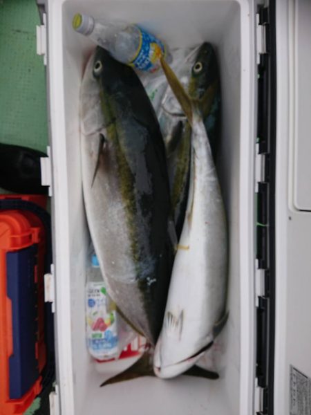 海龍丸（石川） 釣果