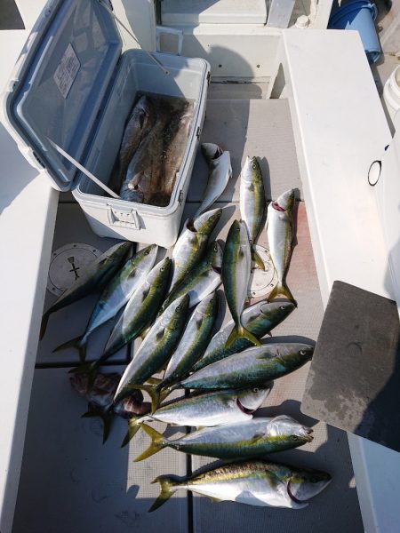 エンペラー 釣果