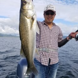 アマテラス 釣果