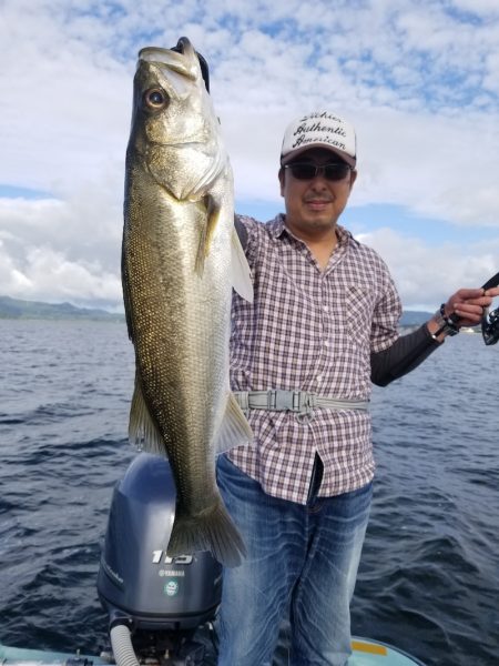 アマテラス 釣果