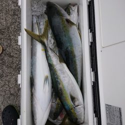 エンペラー 釣果