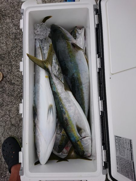 エンペラー 釣果