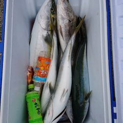 エンペラー 釣果