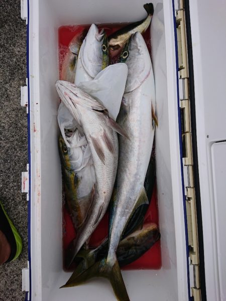 エンペラー 釣果