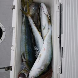 エンペラー 釣果