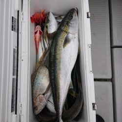 エンペラー 釣果