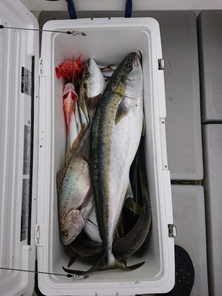 エンペラー 釣果