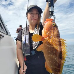 ソルトウォーターガイドフレンズ 釣果