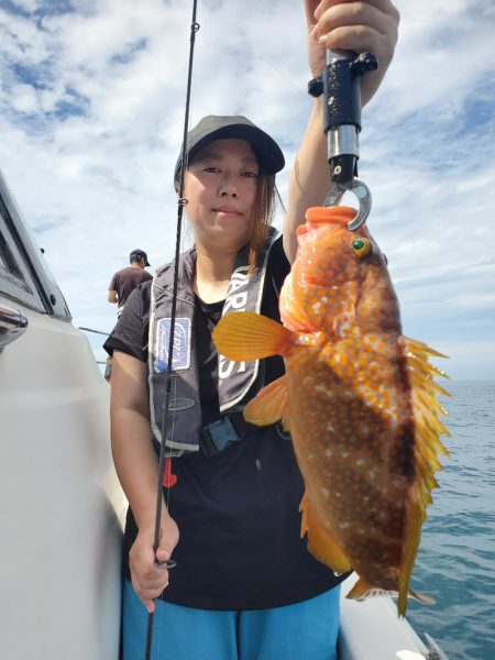 ソルトウォーターガイドフレンズ 釣果