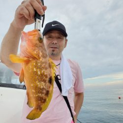 ソルトウォーターガイドフレンズ 釣果