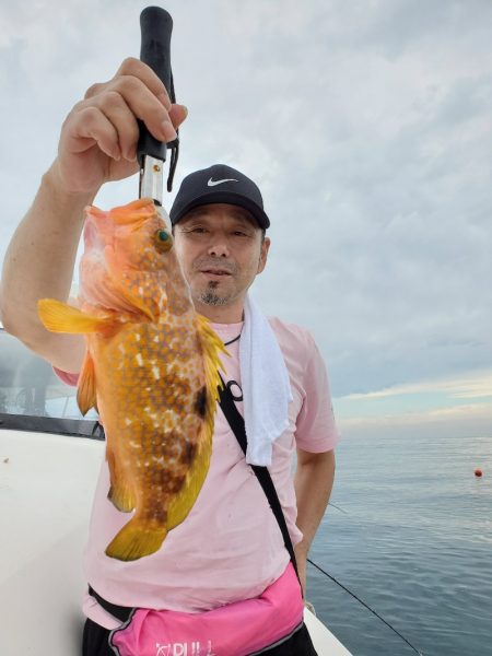 ソルトウォーターガイドフレンズ 釣果