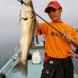 アマテラス 釣果