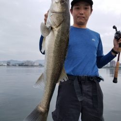 アマテラス 釣果