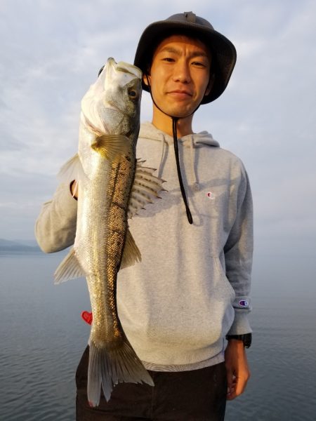 アマテラス 釣果