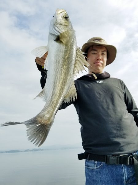 アマテラス 釣果