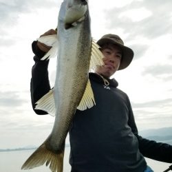 アマテラス 釣果