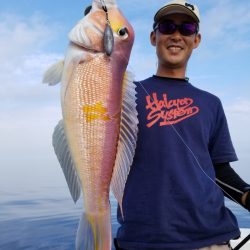 アマテラス 釣果