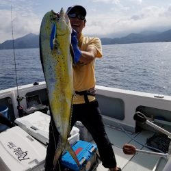 アマテラス 釣果