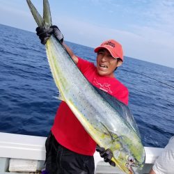 アマテラス 釣果