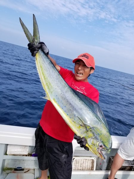 アマテラス 釣果