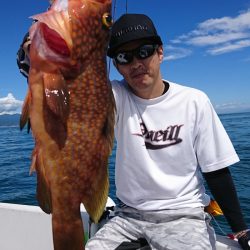 遊漁船 家入 釣果