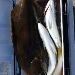 海龍丸(石川) 釣果