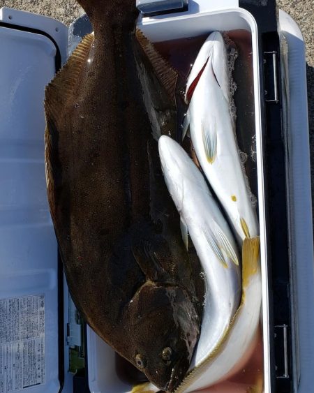 海龍丸(石川) 釣果