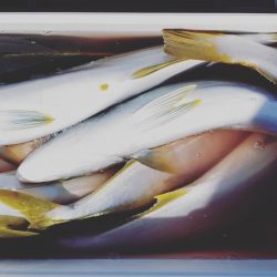 海龍丸(石川) 釣果