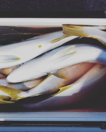 海龍丸(石川) 釣果