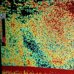 シースナイパー海龍 釣果