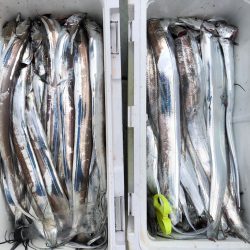 フィッシング キッタカ 釣果