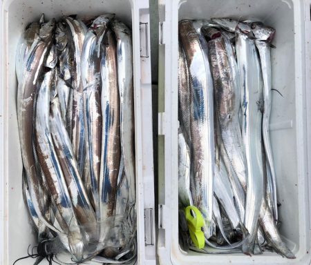 フィッシング キッタカ 釣果