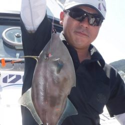 ブルースフィッシングサービス 釣果